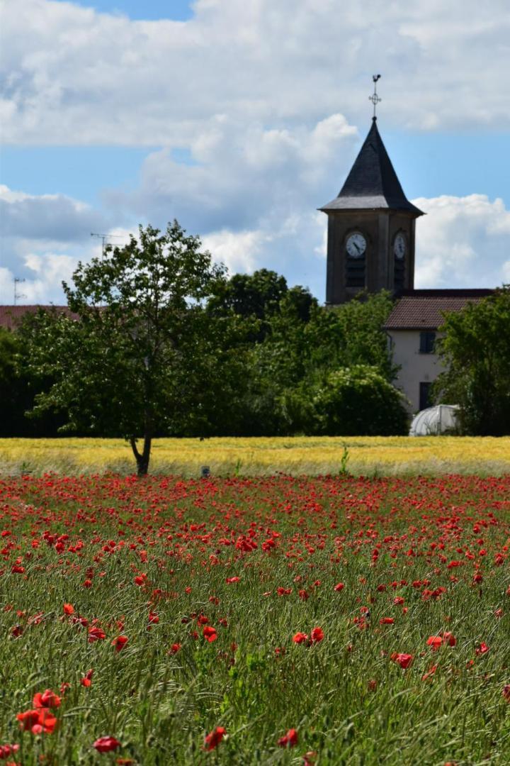 Bergerie Francique Lägenhet Lachaussee Exteriör bild